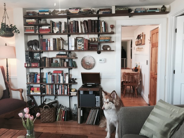This is my bookshelf.  Guest appearance by my dog.  